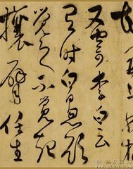 观怀素草书歌