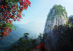 闻越僧灵皎游天竺山因而有寄