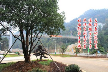 临江仙（再用图字韵）