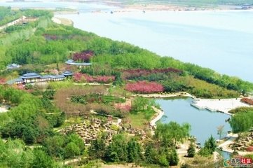 春日洛阳城侍宴