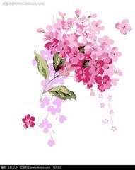 木兰花慢·拥都六冠盖