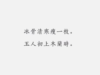 浣溪沙·题李中斋舟中梅屏