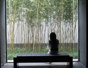 思远人（一作寄远客）