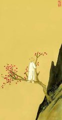 泸州乱