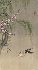 蕃女怨·万枝香雪开已遍