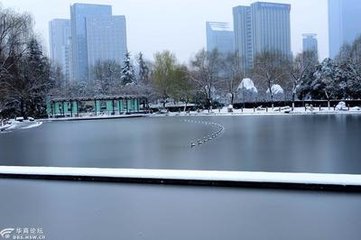 永阳大雪