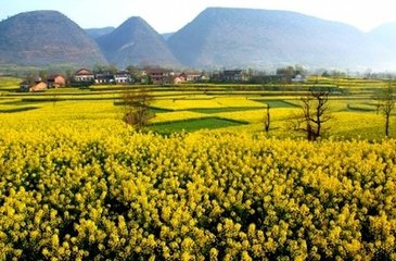 令狐相公频示新什，早春南望遐想汉中，因抒