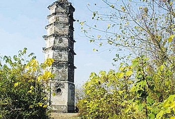 回先生过湖州东林沈氏，饮醉，以石榴皮书其