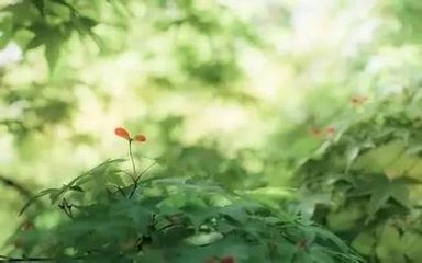 和陶己酉岁九月九日