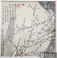 至日见梅