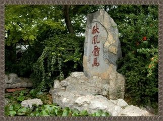 鹧鸪天·戏马台前秋雁飞