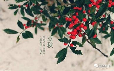 立秋夕凉风忽至炎暑稍消即事咏怀寄汴州…尚书
