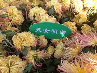酬别令狐补阙