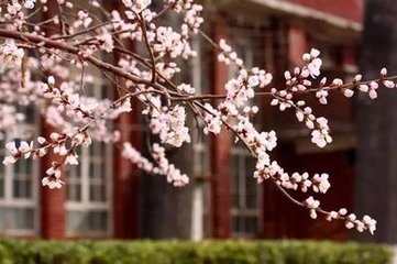 菩萨蛮·春花春月年年客