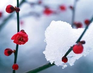 胡旋女－戒近习也