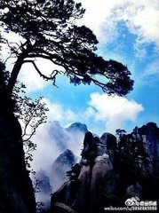 水龙吟 以上四印齐本五峰词二十二首