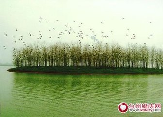 戴老堂为城西林兄作