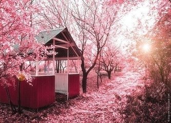 山中夜闻风雨