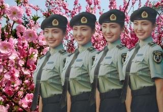 军中杂歌