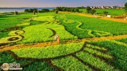 山村独酌