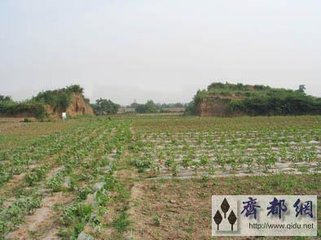 题淳于髡墓