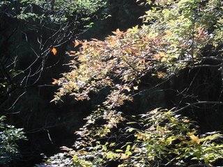 【双调】风入松　寓意