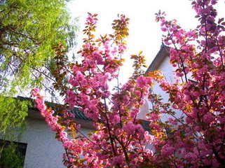 登庾楼