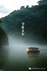 新蝉