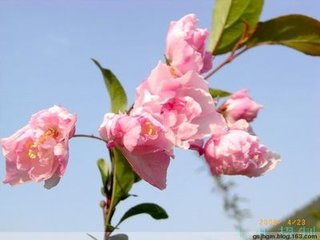 答范祖禹