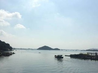 三部乐·江鶂[1]初飞