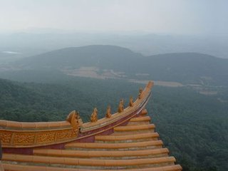 胜胜令