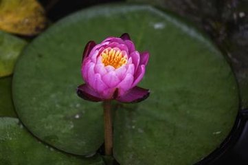 江城子（萍乡王圣俞席上作）