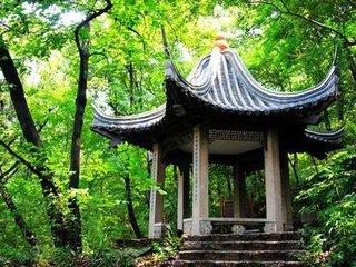 和李德裕观玉蕊花见怀之作