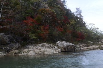 风入松·为友人放琴客赋