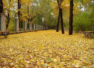 庆春宫·秋感