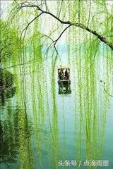 胡冬官梅花图