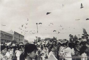 游兖部逢孔君自卫来，欣然相遇若旧