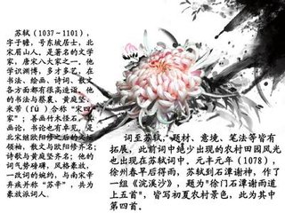 元丰癸亥经行石潭寺见旧和栖蟾诗甚可笑因削
