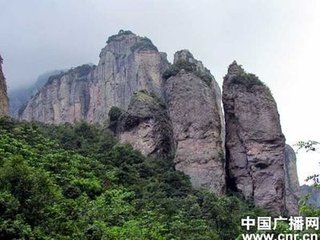 浣溪沙（双笋）