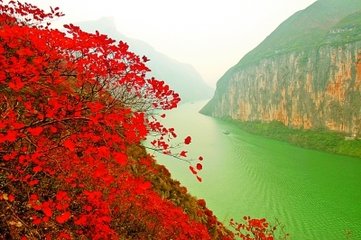 黄花渡