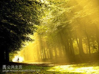 满庭芳·宿雨滋兰