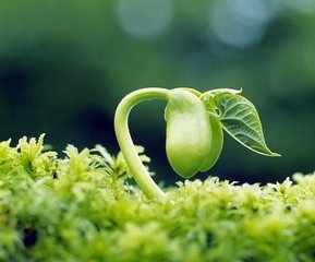 立春后言怀招汴州李匡衙推