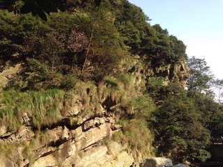 送昙秀师归庐山梦斋