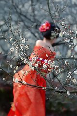 踏莎行·雪意初浓