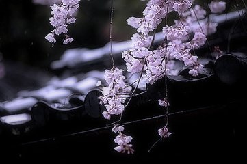 一翦梅·旧日心期不易招