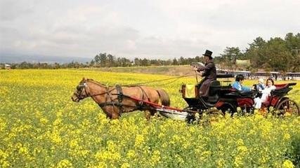 九日与客登凤凰山酌涌金泉泛舟西归
