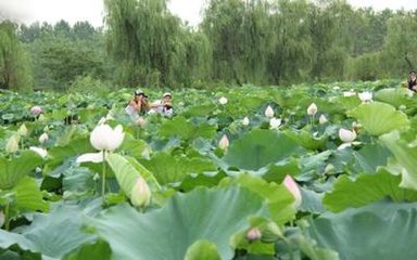 奉和御制乾曜与张说宋璟同日上官命宴都堂赐诗