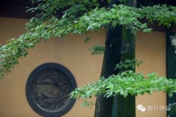 鹧鸪天 化度寺作