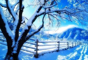 和余汝霖雪七绝