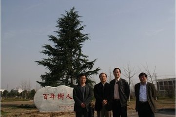临江仙·堂上箫韶人不奏